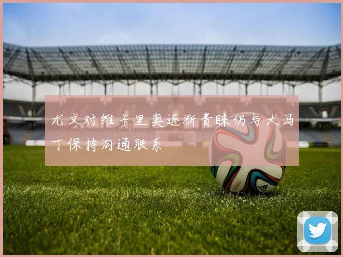 尤文对维卡里奥逐渐青睐仍与大马丁保持沟通联系