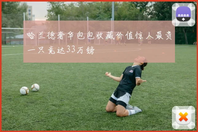 哈兰德奢华包包收藏价值惊人最贵一只竟达33万镑
