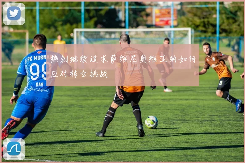 热刺继续追求萨维尼奥维亚纳如何应对转会挑战